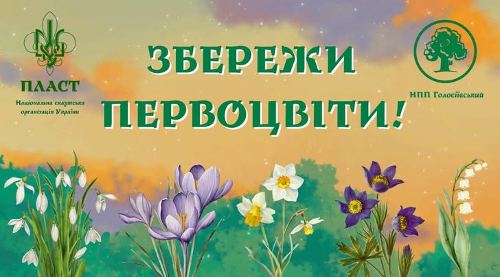 Громадська організація «Пласт – національна скаутська організація України» спільно з Національним природним парком “Голосіївський” запускає челендж “Збережи первоцвіти! ”.